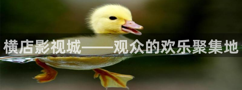 好好看影院：横店影视城——观众的欢乐聚集地