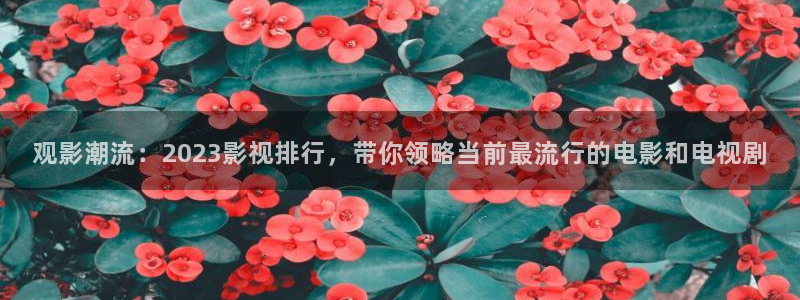 好看影院在线观看电影：观影潮流：2023影视排行，带你领略当前最流行的电影和电视剧