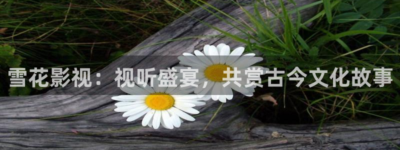 好看影院在线观看：雪花影视：视听盛宴，共赏古今文化故事