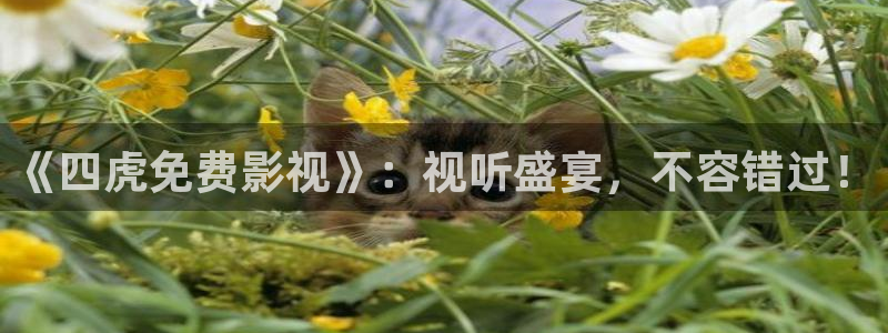 好好看影院：《四虎免费影视》：视听盛宴，不容错过！