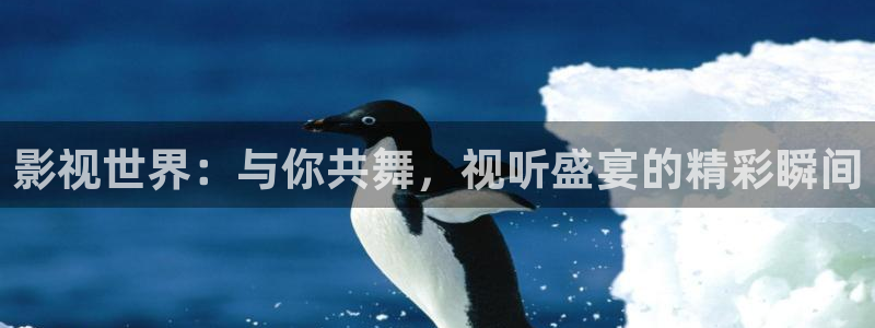 好看影院在线观看：影视世界：与你共舞，视听盛宴的精彩瞬间