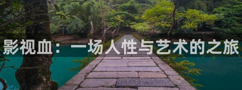 好看影院在线观看：影视血：一场人性与艺术的之旅