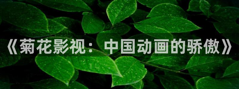 好好看影院：《菊花影视：中国动画的骄傲》
