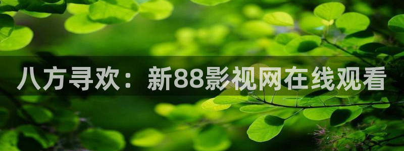 《四库影视》电视剧在线观看-好看影院：八方寻欢：新88影视网在线观看