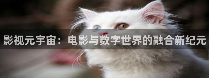 好好看影院：影视元宇宙：电影与数字世界的融合新纪元