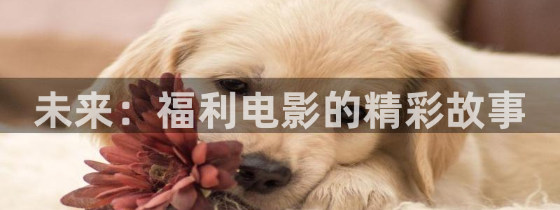 《四库影视》电视剧在线观看-好看影院：未来：福利电影的精彩故事