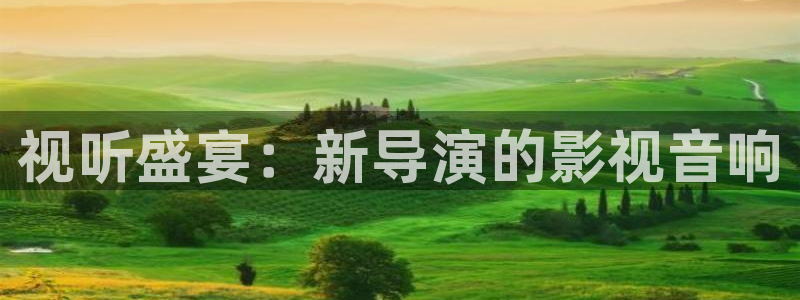 四虎好看影院：视听盛宴：新导演的影视音响