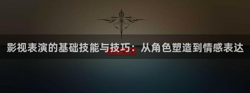 好好看影院：影视表演的基础技能与技巧：从角色塑造到情感表达