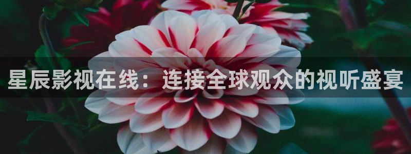 好好看影院：星辰影视在线：连接全球观众的视听盛宴