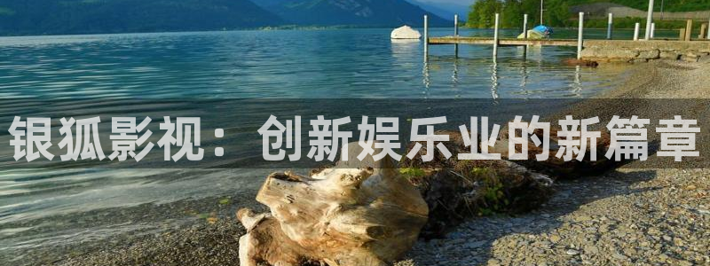好看影院在线观看电影：银狐影视：创新娱乐业的新篇章